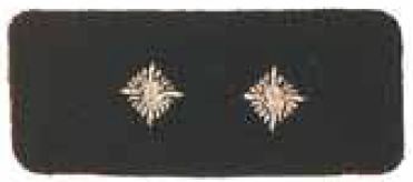 Funktionsabzeichen stellv. Ortsbrandmeister, 2 Sterne