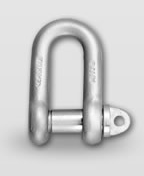 Schäkel DIN 82 101, verzinkt, A 2 t,