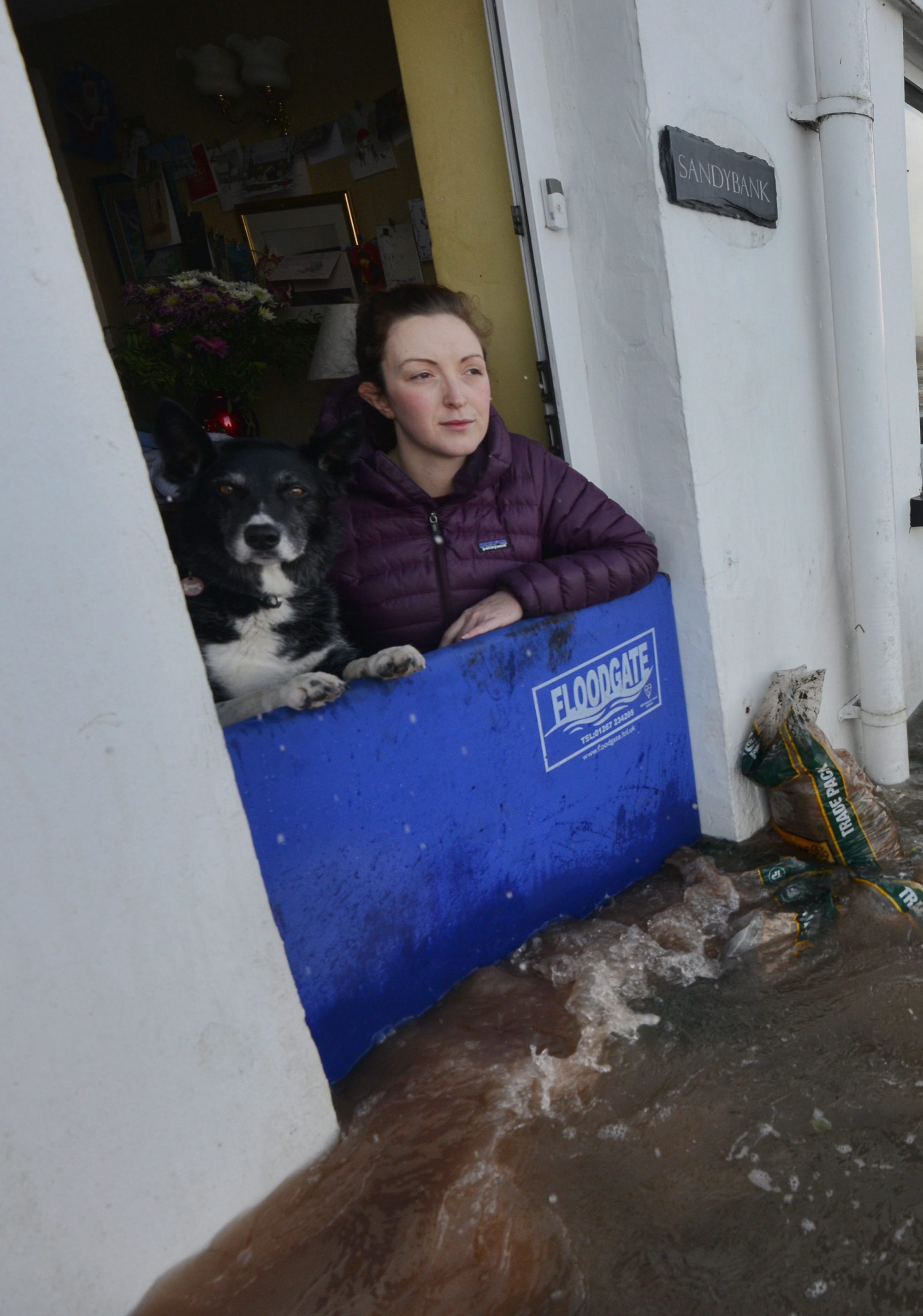 Floodgate-Frau-mit-Hund5f90458bbef78 Hochwasserschutz für Türen und Fenster im Firmengebäude