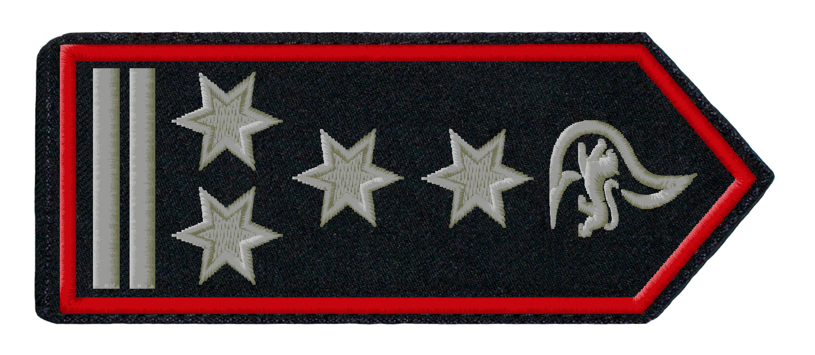 400246_Leitender_Hauptbrandmeister_als_Abt-Kommandant_-_Stellv-_FW-Kommandant5c07c8a638817