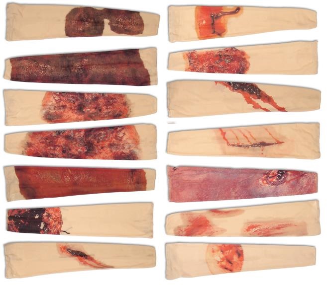 Trauma-Satz-3 TEE-UU RAPID Trauma-Simulations - Satz (14-teilig)