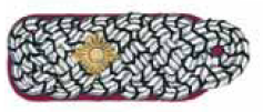 Schulterstücke KBM Brandenburg Kreisbrandmeister 1 Stern