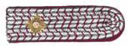 Schulterstücke BM Sachsen-Anhalt Brandmeister (Paar)