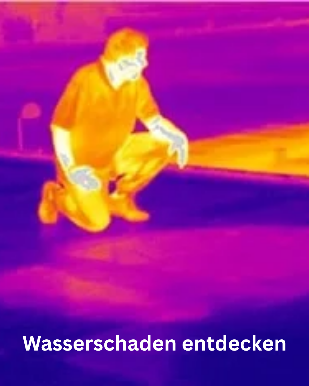 FLIR E8 Pro Wärmebildkamera