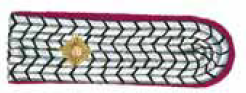 Schulterstücke OBM Brandenburg Oberbrandmeister (Paar)