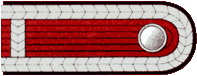 Schulterstücke OFM Thüringen Oberfeuerwehrmann