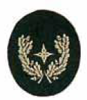 Funktionsabzeichen (Nds), GEMEINDEBRANDMEISTER