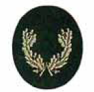 Funktionsabzeichen (Nds), ORTSBRANDMEISTER