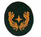 Funktionsabzeichen (Nds), KREISBRANDMEISTER