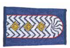 Aufschiebeschlaufen 1.HBM Brandenburg 1.Hauptbrandmeister