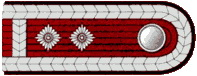 Schulterstücke LM Thüringen Löschmeister