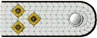 Schulterstücke OBM Thüringen Oberbrandmeister