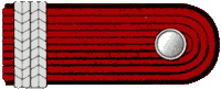 Schulterstücke FM Thüringen Feuerwehrmann