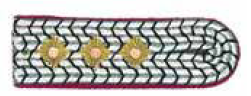 Schulterstücke 1.HBM Brandenburg (1.Hauptbrandmeister)