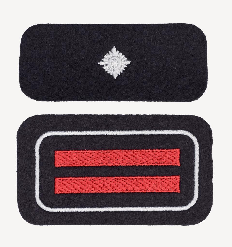 402539_Abzeichen_RLP_2016-06-20